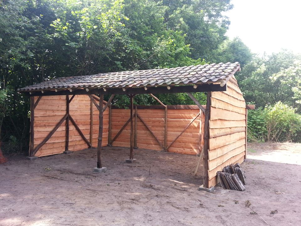 Afdak in een paardenweide