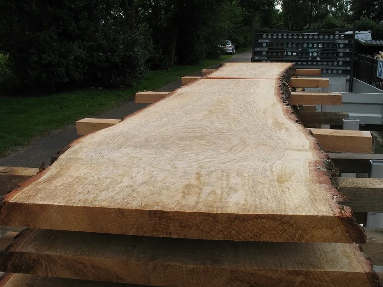 Brede eiken plaat met natuurlijke boomrand op schragen buiten bij de houthandel