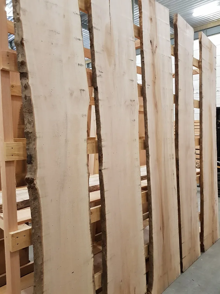 Detail van een platanen boomschorsplank met fijne spiegeltekening in het hout