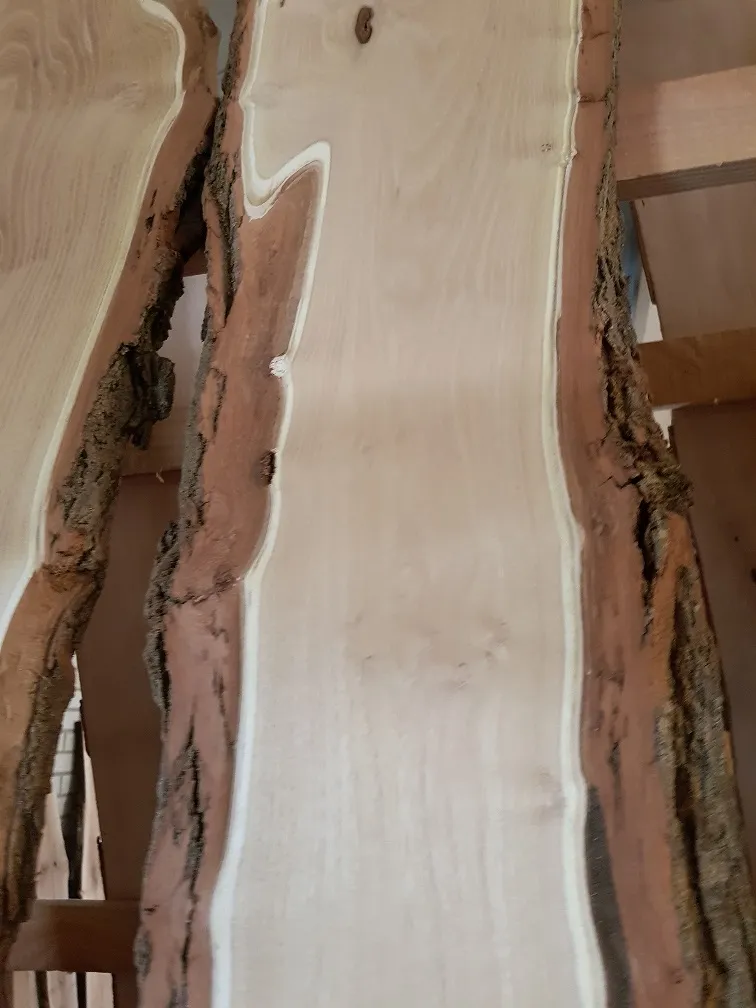 Robinia boomschorsplank met donkere schorsrand en geelbruine kern