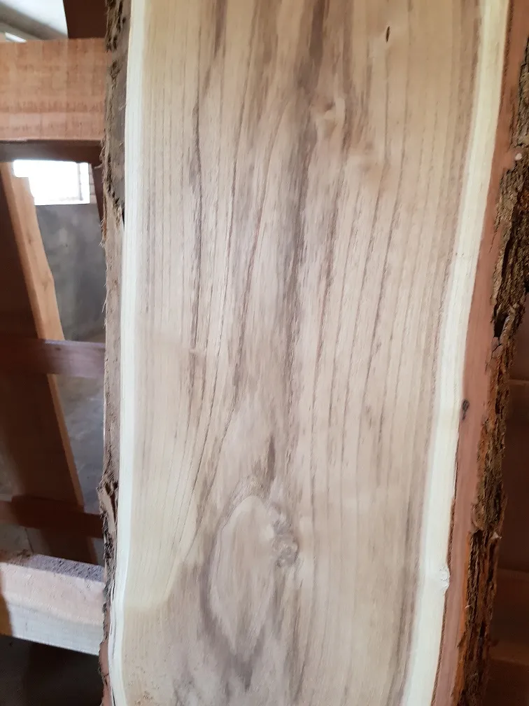Detail van robinia hout met warme okerkleurige nerf en natuurlijke rand