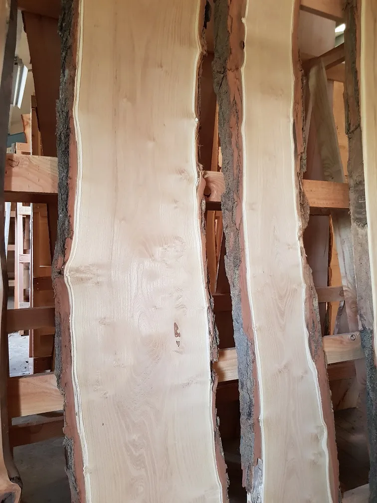 Robinia boomschorsplanken rechtop naast elkaar in de loods