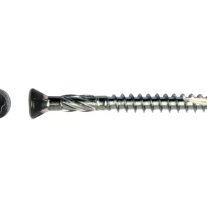 Zwarte potdekselschroef torx T25 5,0 x 40 mm RVS C2 met los kopaanzicht